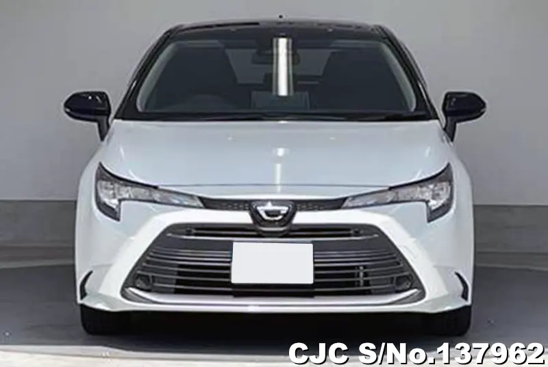 2025 Toyota / Corolla Touring Stock No. 137962