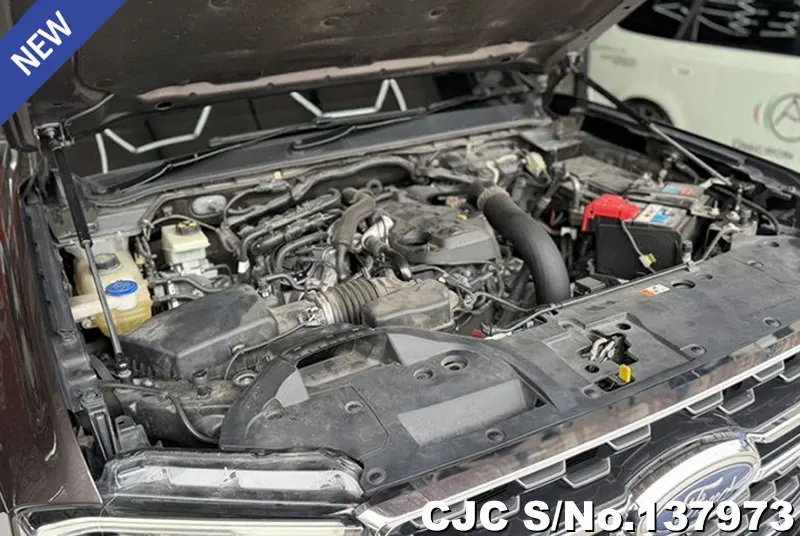2022 Ford / Everest Stock No. 137973