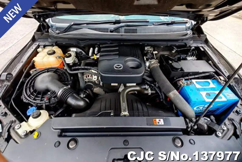 Mazda BT-50 in Brown for Sale Image 13