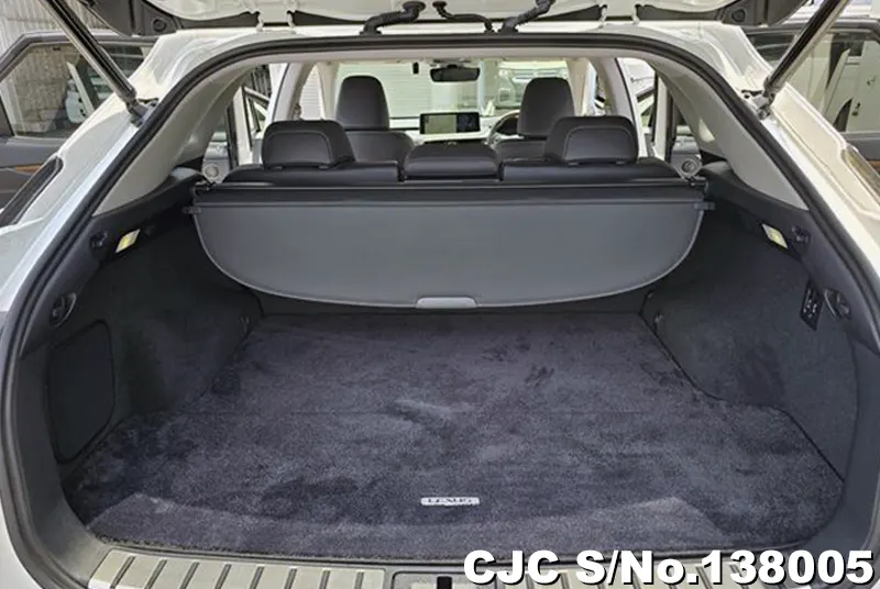 2001 Lexus / RX 300 Stock No. 138005