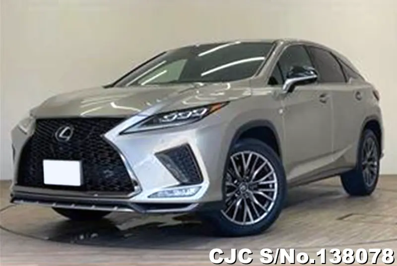 2020 Lexus / RX 300 Stock No. 138078