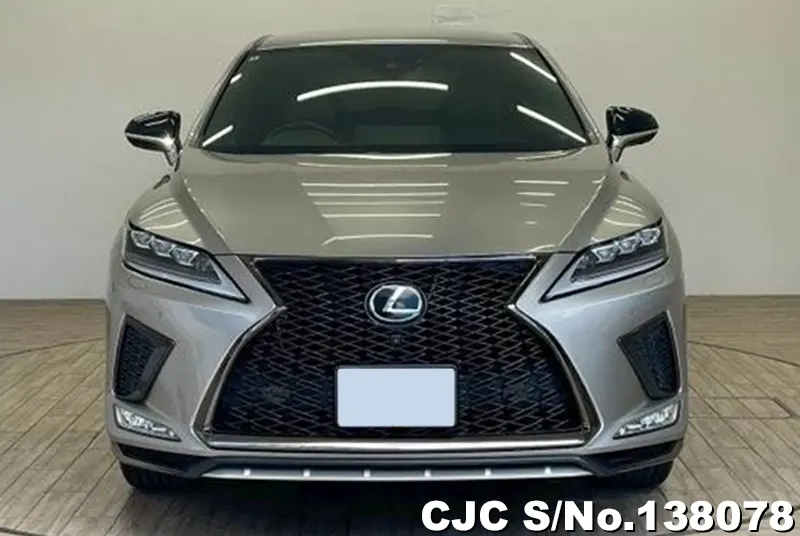 2020 Lexus / RX 300 Stock No. 138078