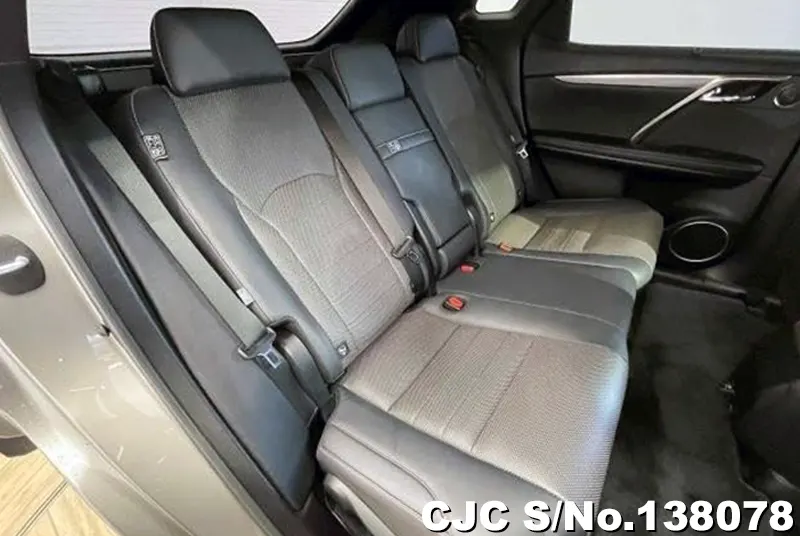 2020 Lexus / RX 300 Stock No. 138078