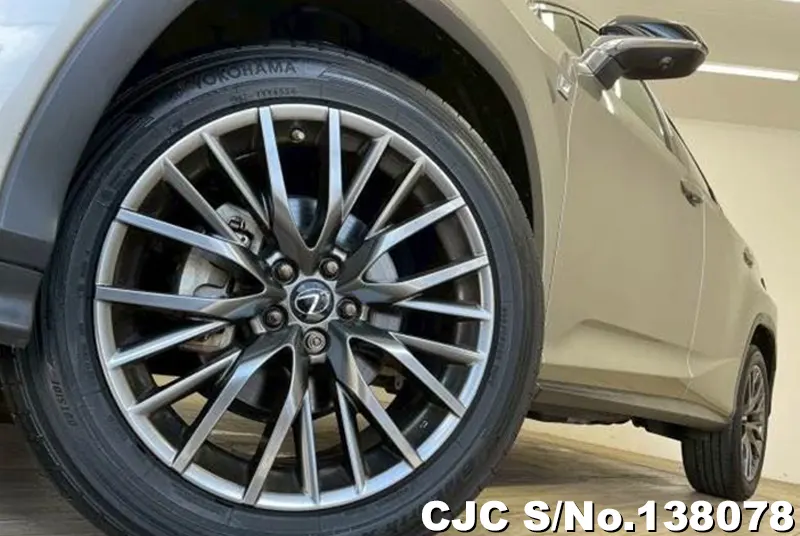 2020 Lexus / RX 300 Stock No. 138078