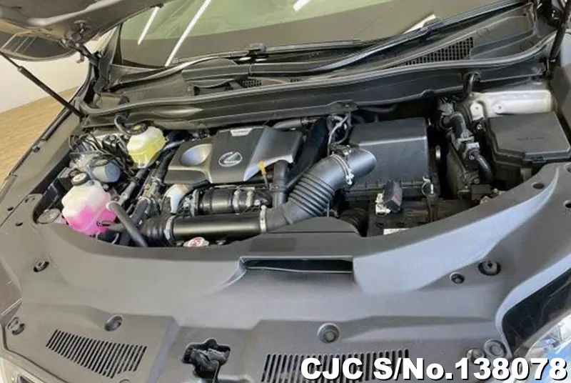 2020 Lexus / RX 300 Stock No. 138078
