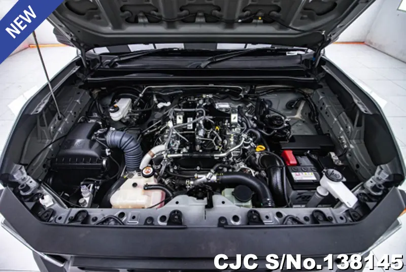 Toyota Hilux in Gray for Sale Image 9