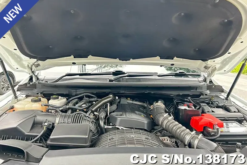 2019 Ford / Ranger / Raptor Stock No. 138173