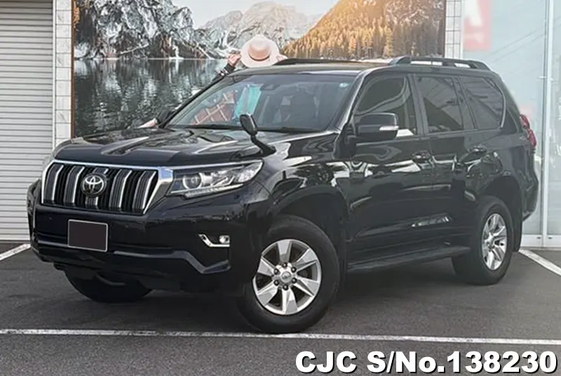 2019 Toyota / Land Cruiser Prado Stock No. 138230