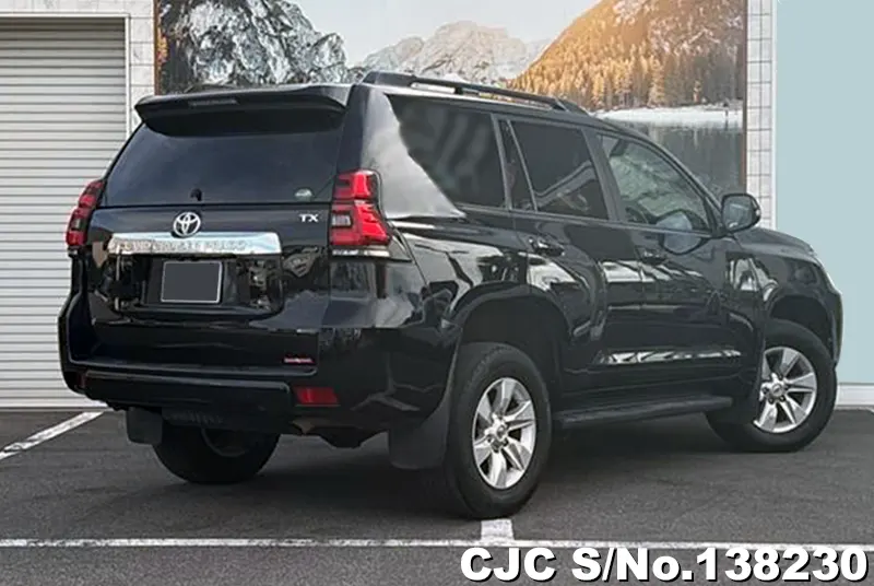 2019 Toyota / Land Cruiser Prado Stock No. 138230