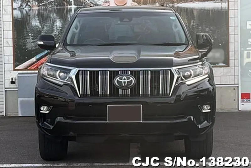 2019 Toyota / Land Cruiser Prado Stock No. 138230