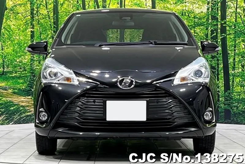 2019 Toyota / Vitz Stock No. 138275