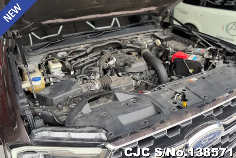 2022 Ford / Everest Stock No. 138571