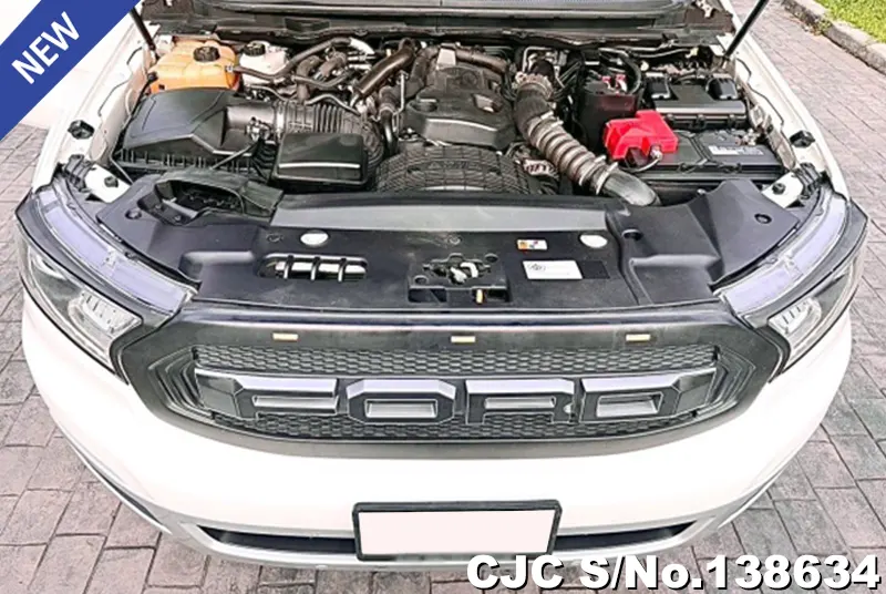 2018 Ford / Everest Stock No. 138634