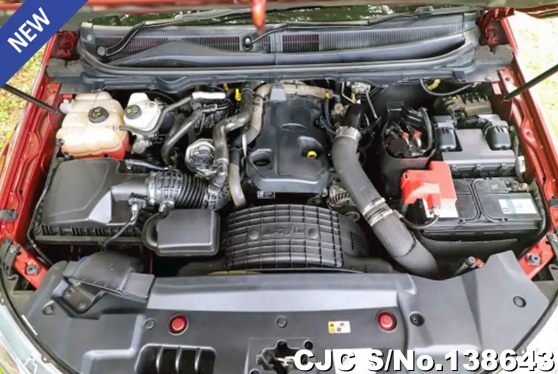 2019 Ford / Everest Stock No. 138643