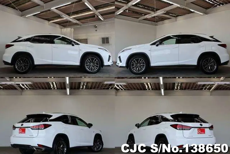 2021 Lexus / RX 300 Stock No. 138650