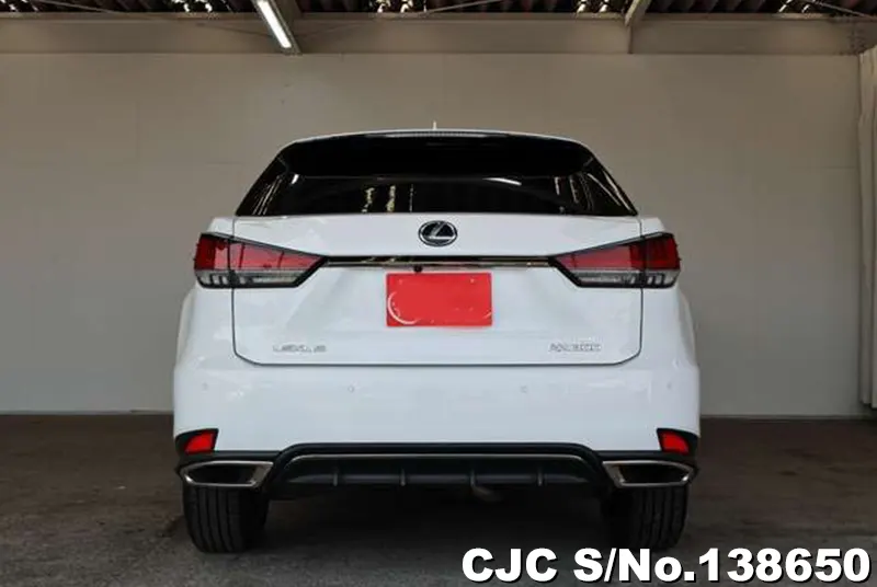 2021 Lexus / RX 300 Stock No. 138650
