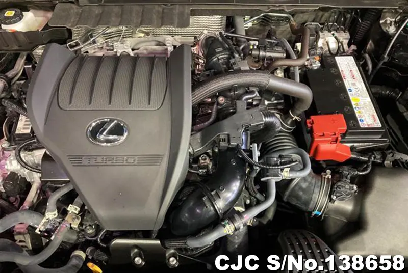 2025 Lexus / NX 350H Stock No. 138658