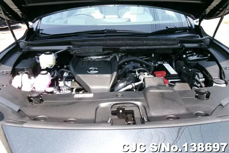 2025 Lexus / RX 350 Stock No. 138697