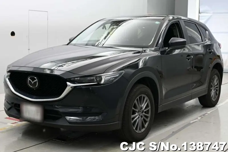 2019 Mazda / CX-5 Stock No. 138747