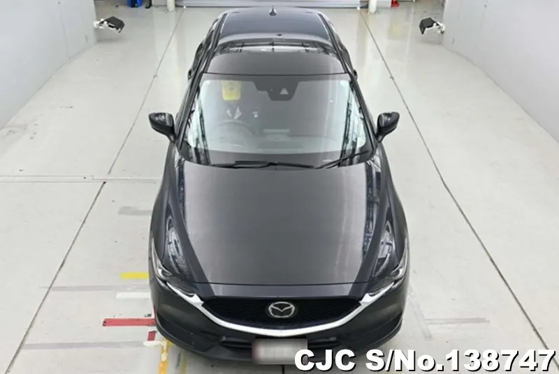 2019 Mazda / CX-5 Stock No. 138747