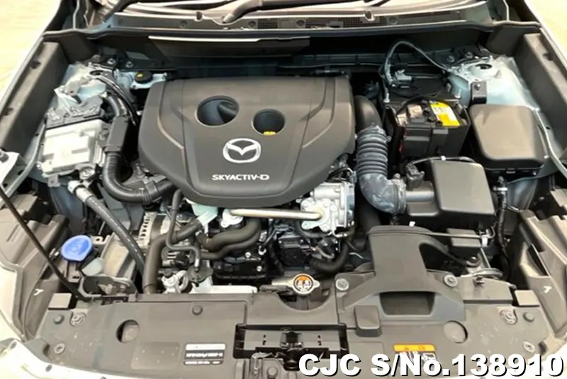 2021 Mazda / CX-3 Stock No. 138910