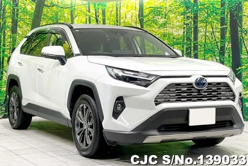 Toyota / Rav4