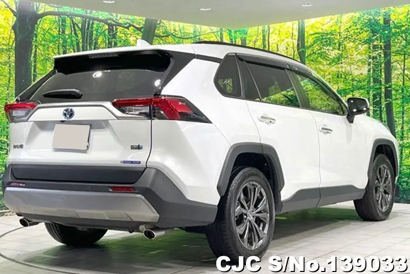 2022 Toyota / Rav4 Stock No. 139033