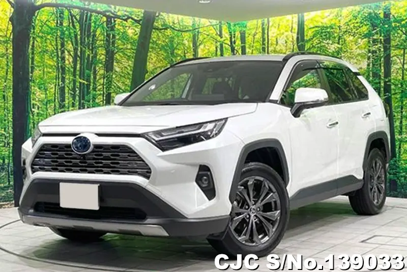 2022 Toyota / Rav4 Stock No. 139033