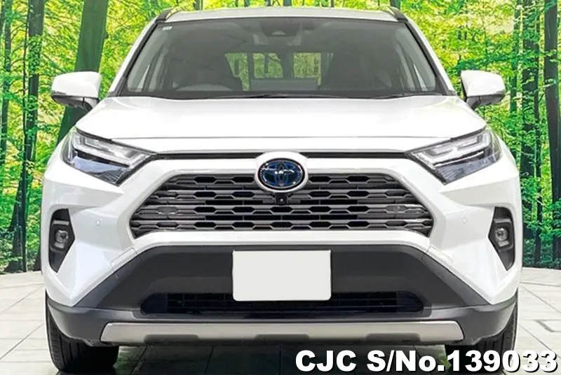 2022 Toyota / Rav4 Stock No. 139033