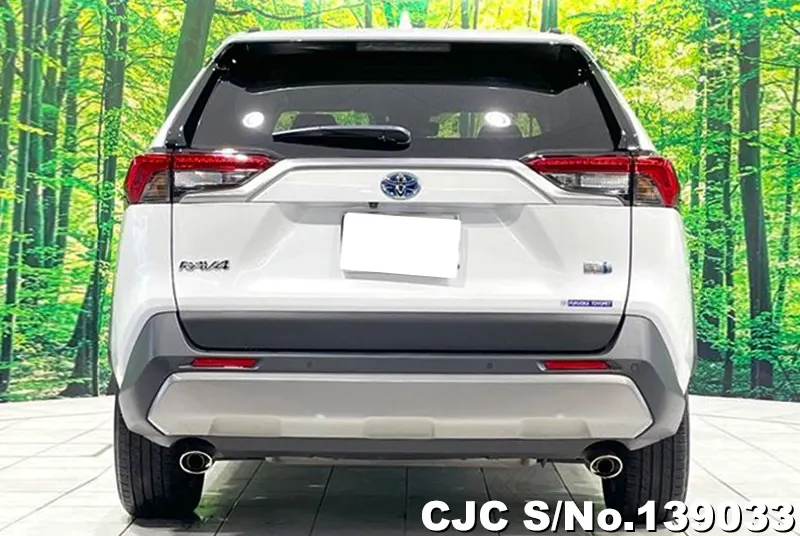 2022 Toyota / Rav4 Stock No. 139033
