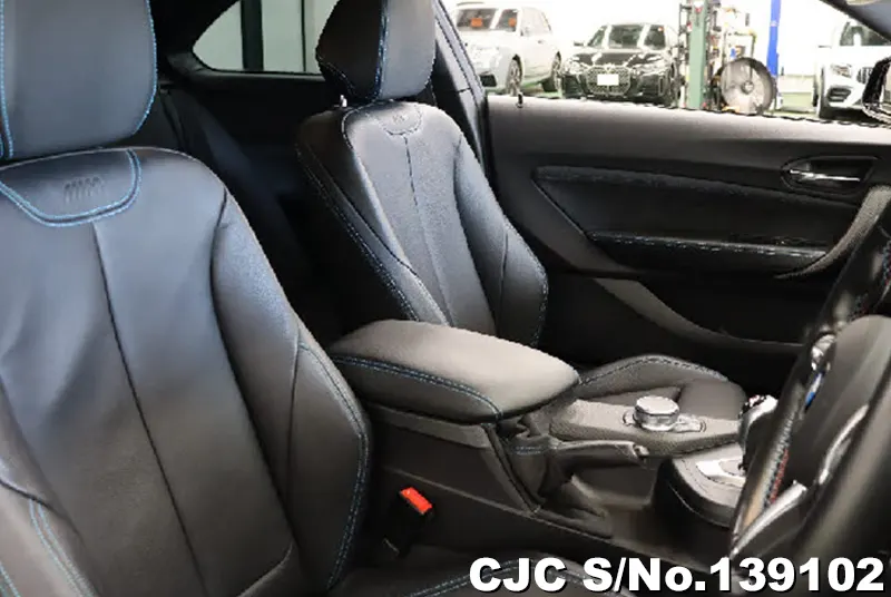 2017 BMW / M2 Stock No. 139102