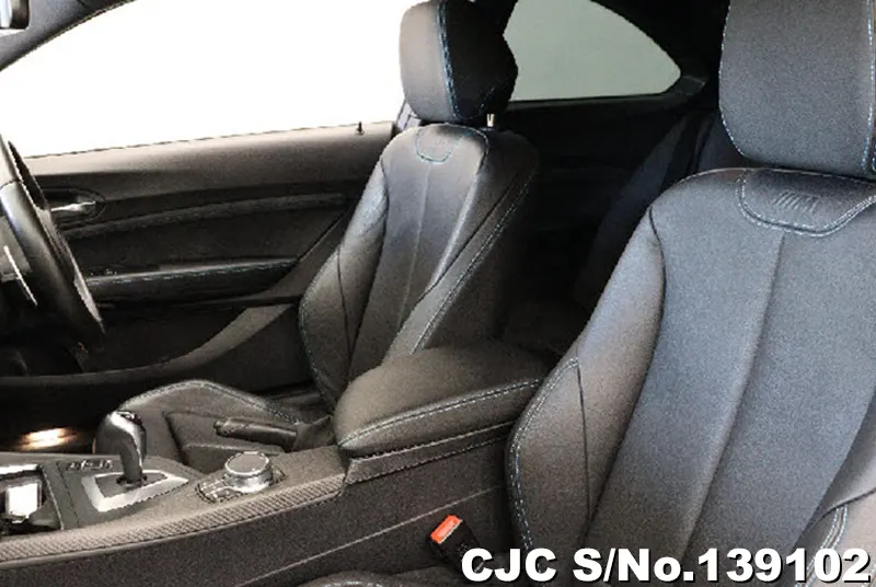 2017 BMW / M2 Stock No. 139102