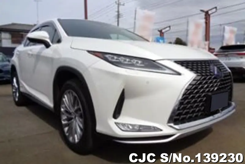 Lexus / RX 450H 2020