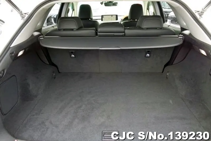 2020 Lexus / RX 450H Stock No. 139230