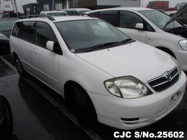 2003 Toyota Corolla Fielder White for sale | Stock No. 25602