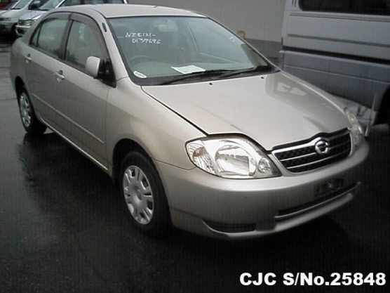 2002 Toyota / Corolla Stock No. 25848