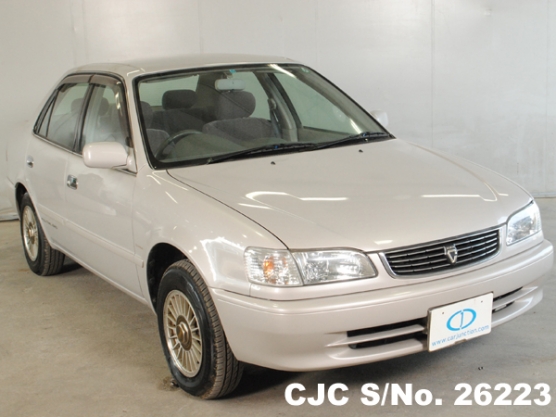 1999 Toyota / Corolla Stock No. 26223