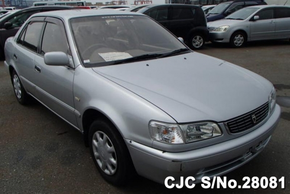 1999 Toyota / Corolla Stock No. 28081