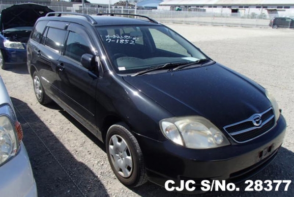 2003 Toyota / Corolla Fielder Stock No. 28377