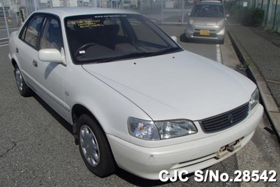 2000 Toyota / Corolla Stock No. 28542