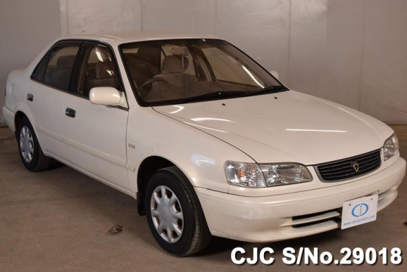 2000 Toyota / Corolla Stock No. 29018