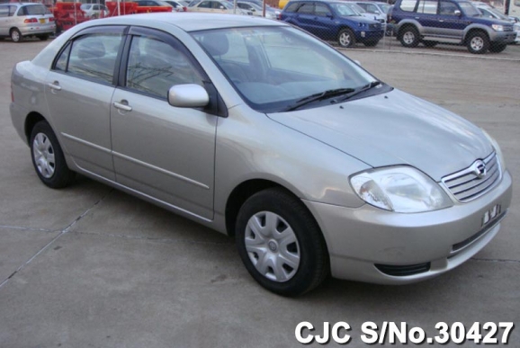 2002 Toyota / Corolla Stock No. 30427