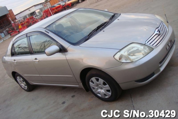 2003 Toyota / Corolla Stock No. 30429