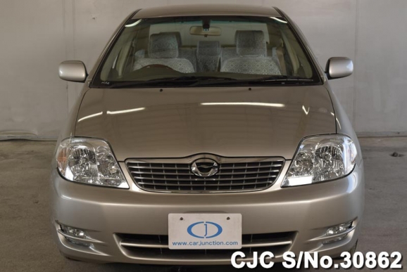 2004 Toyota Corolla Silver for sale | Stock No. 30862 | Japanese