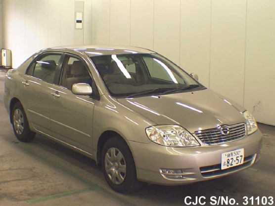 2003 Toyota / Corolla Stock No. 31103