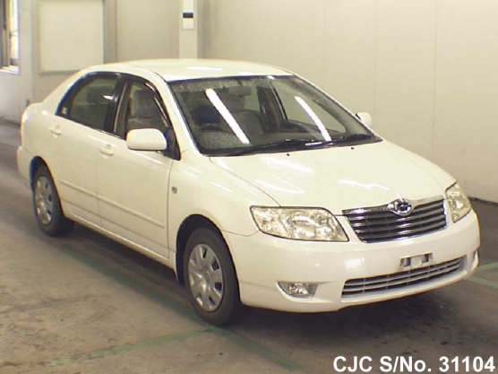 2004 Toyota / Corolla Stock No. 31104