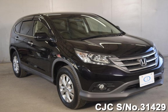 2012 Honda / CRV Stock No. 31429