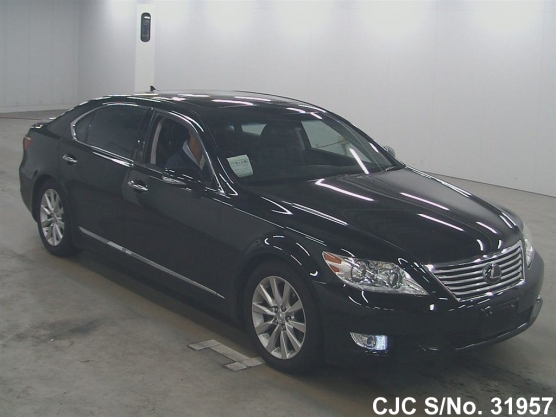 2010 Lexus / LS 460 Stock No. 31957
