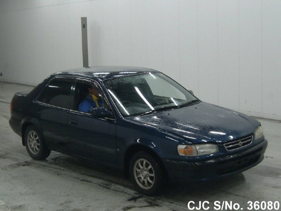1996 Toyota / Corolla Stock No. 36080