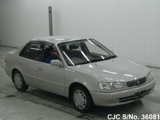 1997 Toyota / Corolla Stock No. 36081